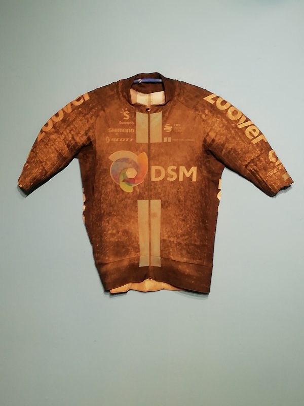 DSM-ZOOVER 2021